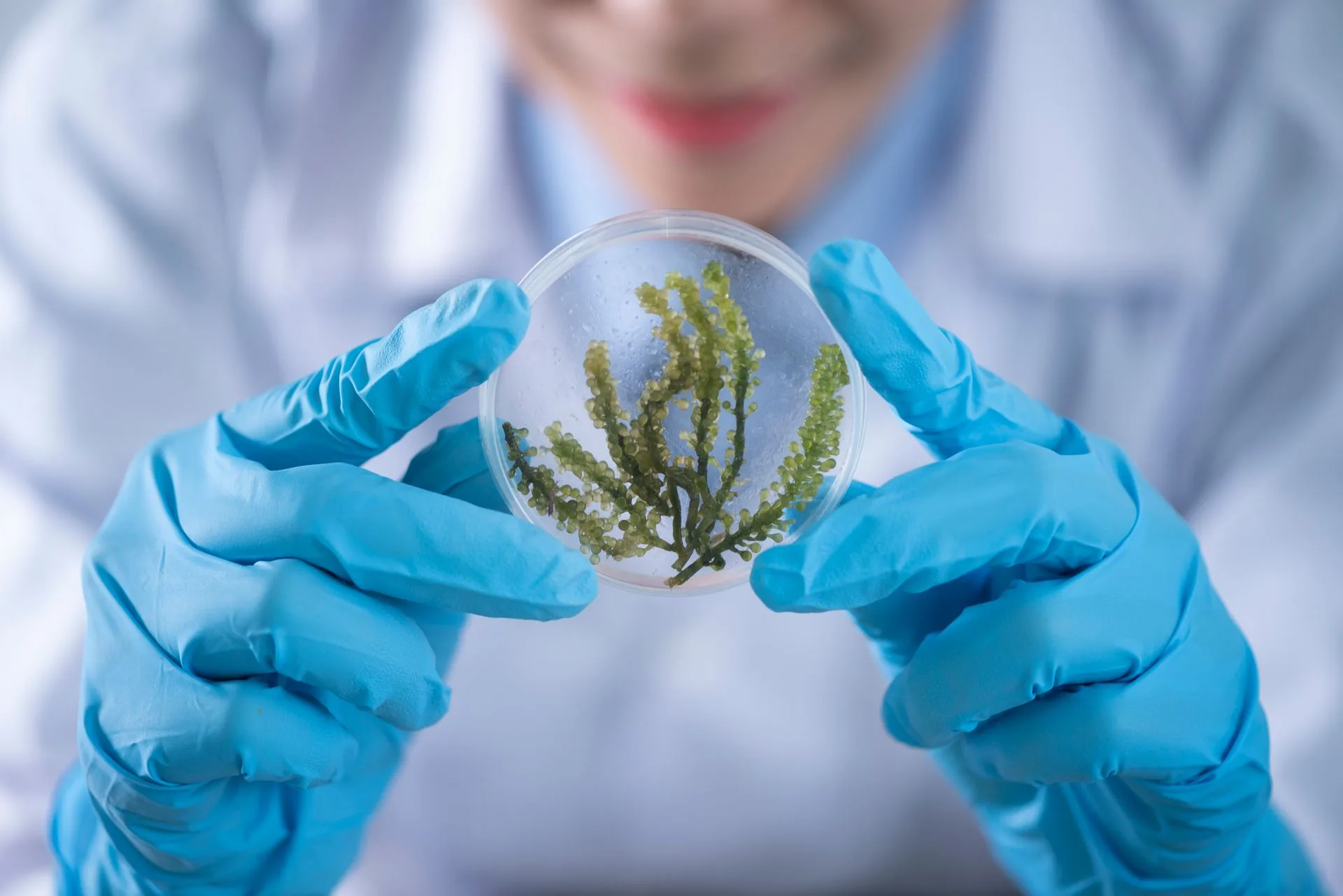 Sustainable PFAS-free solvent alternatives for industrial applications